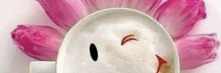 maytem_fre's profile banner image