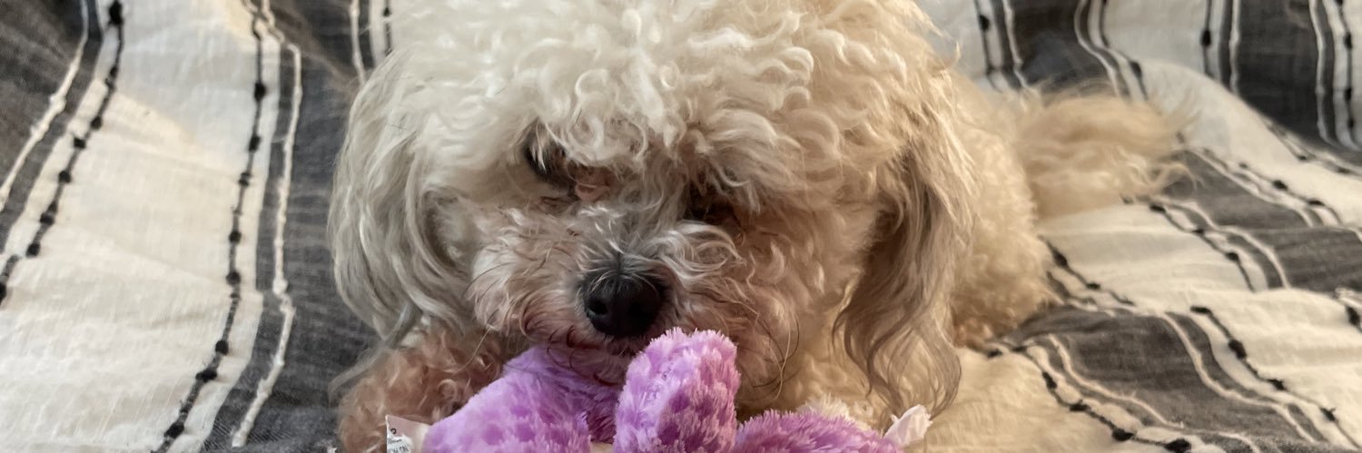 AbbyGraceGordon's profile banner image