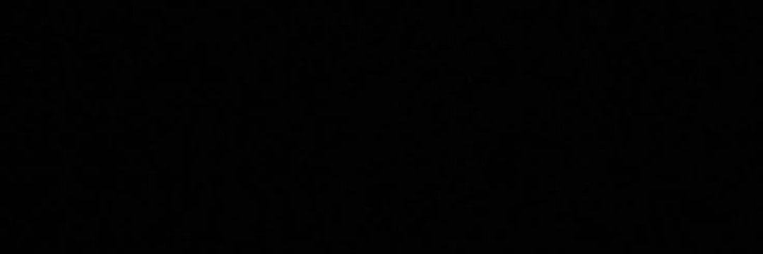 Sergio banner