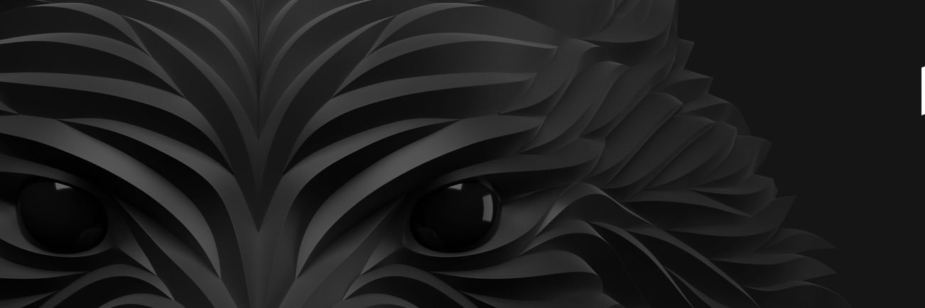 lizzbethj's profile banner image