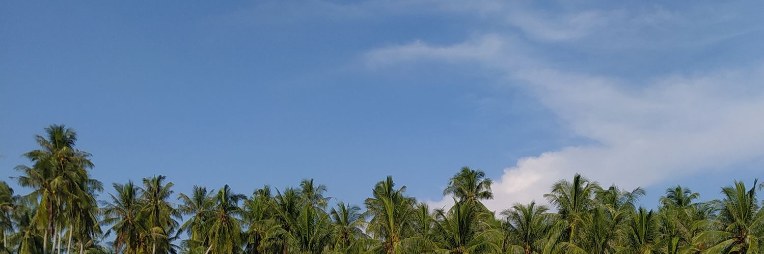 sunnieTEL's profile banner image