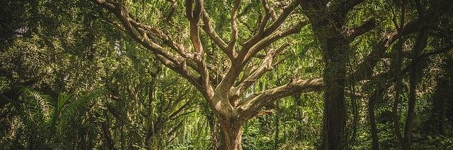 andresmama's profile banner image