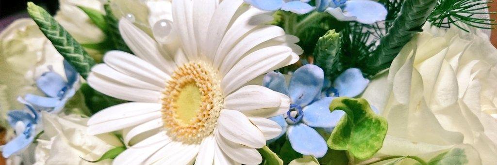 chika_s228's profile banner image
