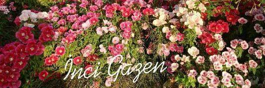 incigazen's profile banner image