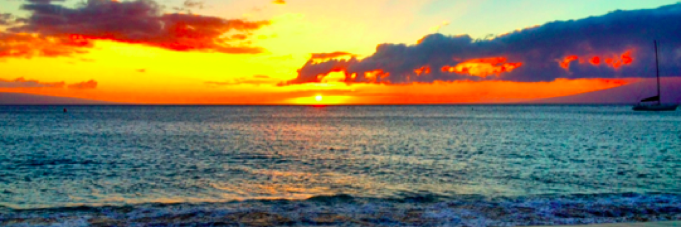 Jennifer S Acree banner