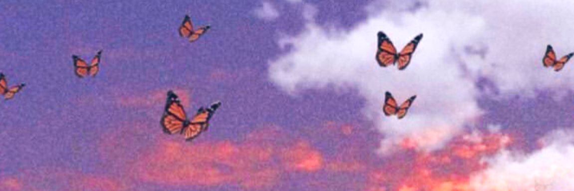 CLH_xx's profile banner image