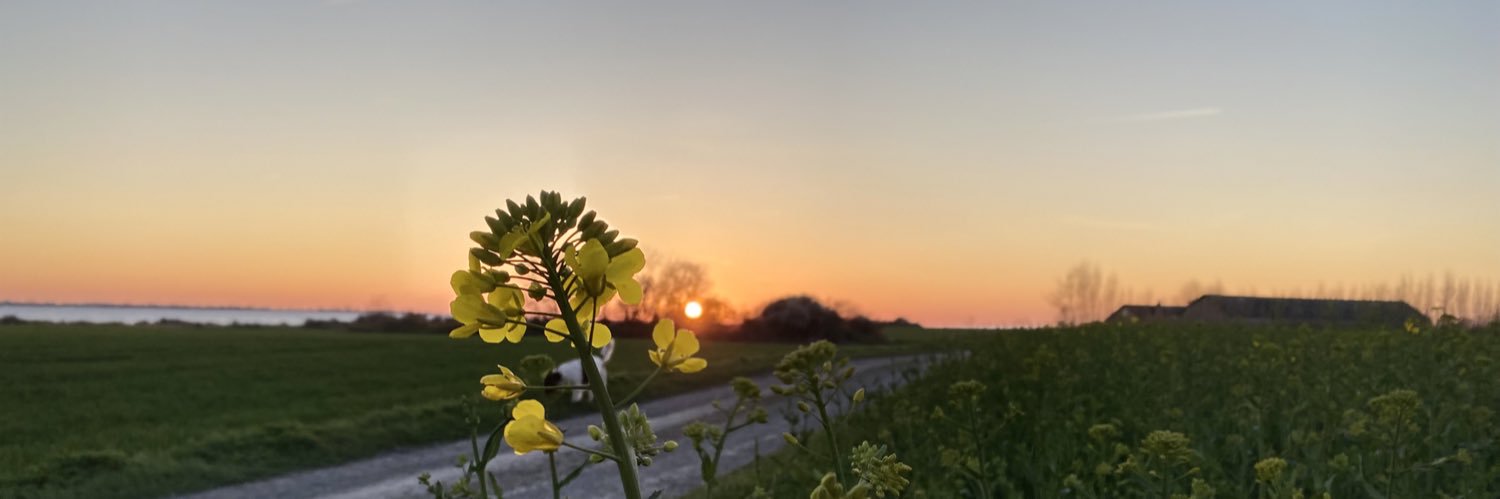Anne Brøndum banner