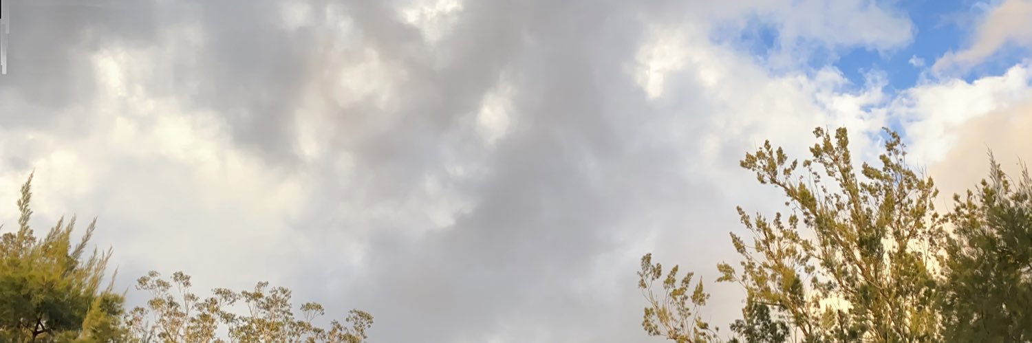 janeuxx's profile banner image