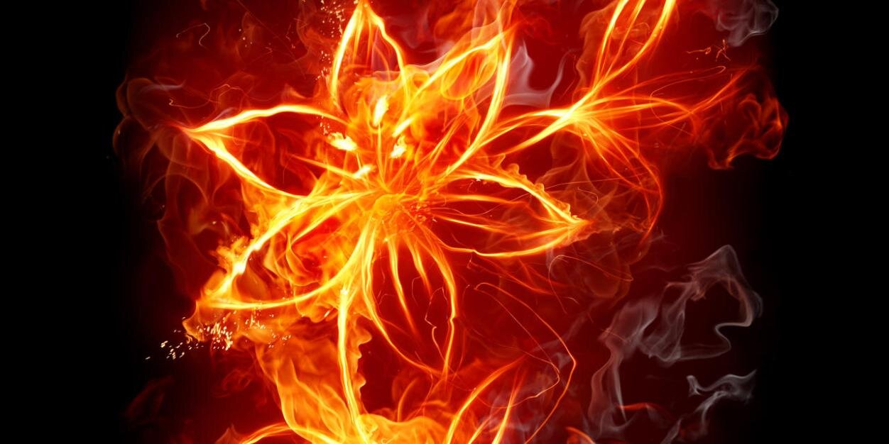 dlelwlo's profile banner image