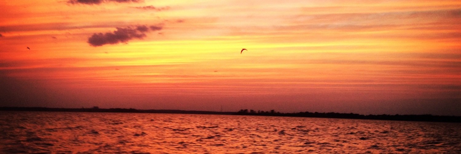 AlexanderNault's profile banner image
