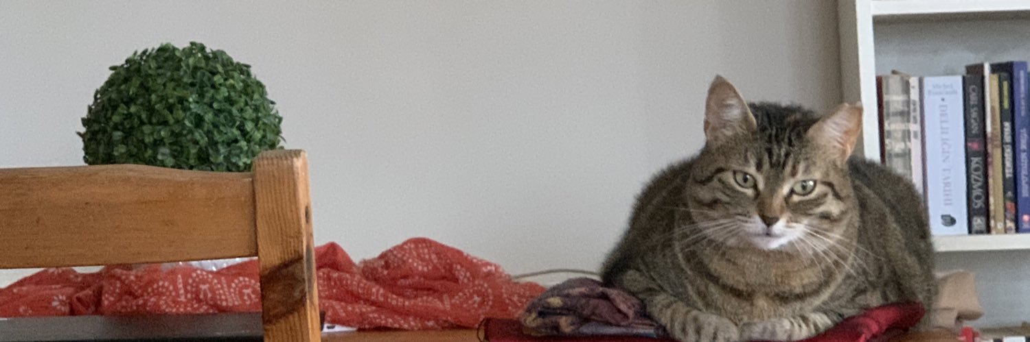 sibelsaglam's profile banner image