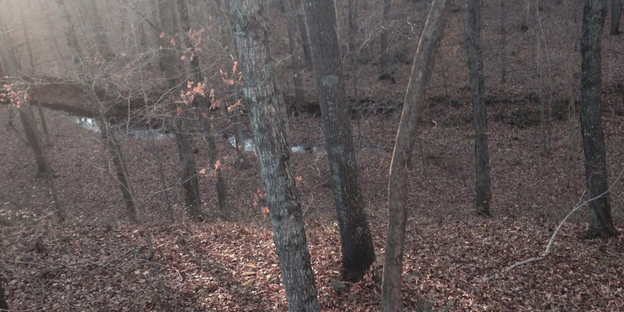TylerL1522's profile banner image