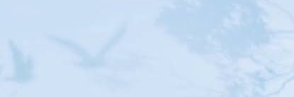 airi_thd's profile banner image
