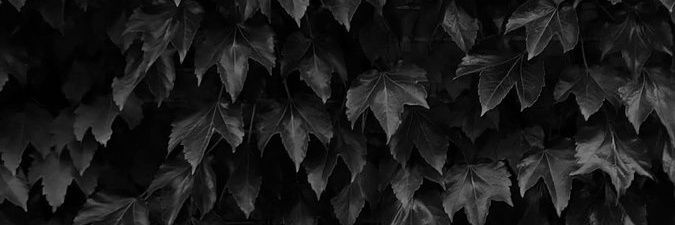 큐 banner