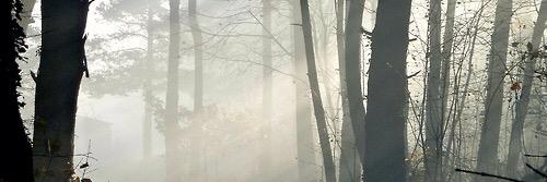 eternalbcast's profile banner image
