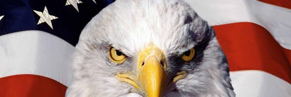 Nolan_Victor Profile Banner