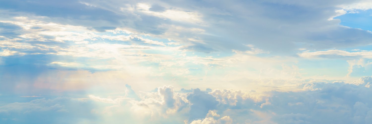 MartaTonel's profile banner image