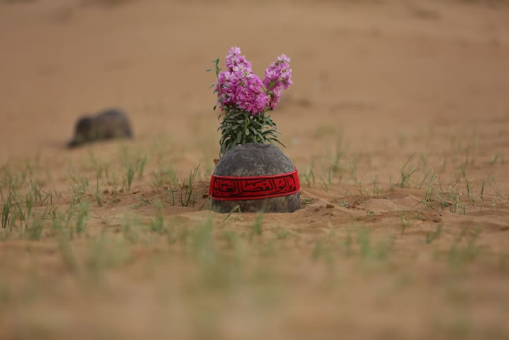 امیرِعباس banner