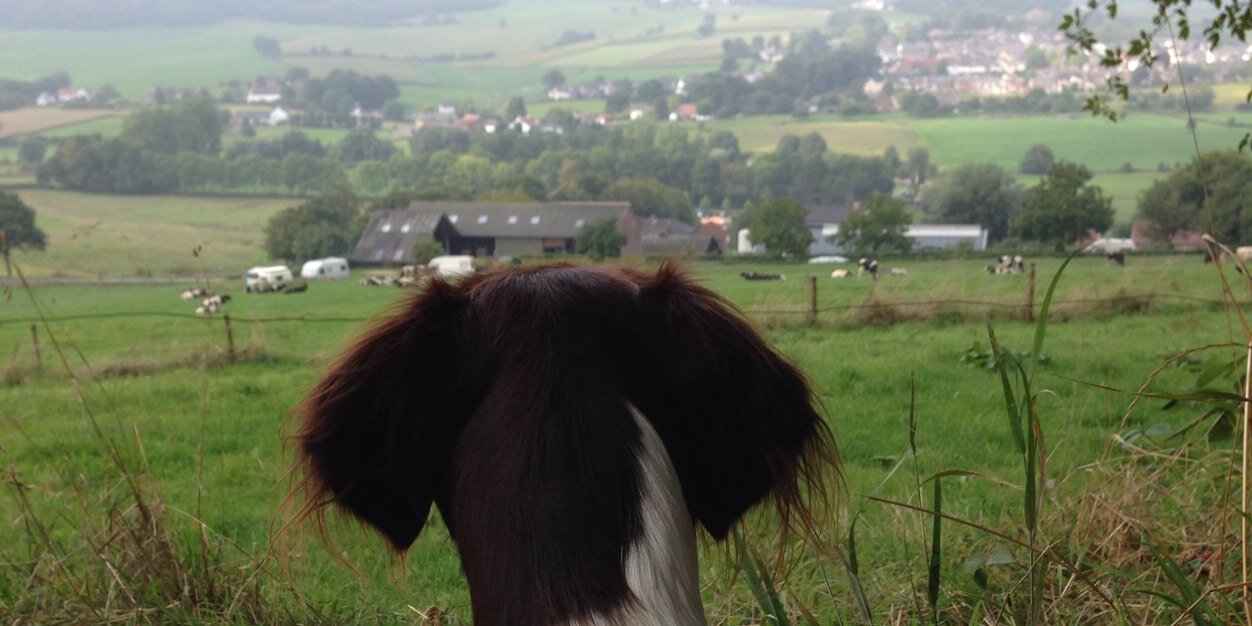 BonnyHeerlen's profile banner image