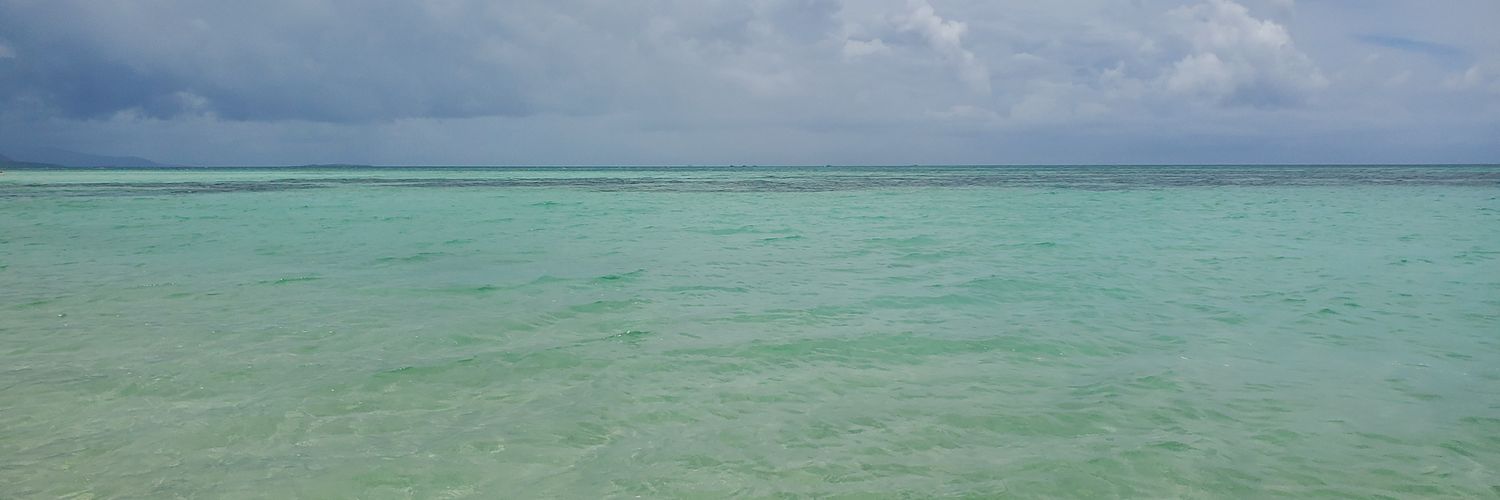 Ayari_1213's profile banner image