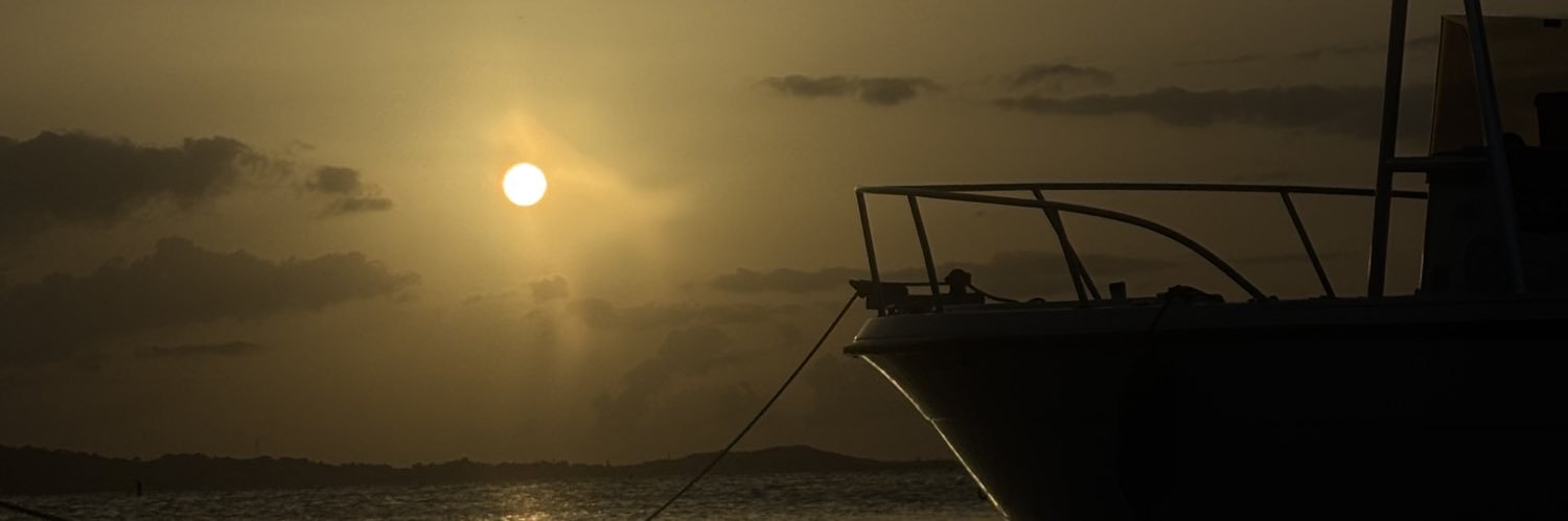Aloap135's profile banner image