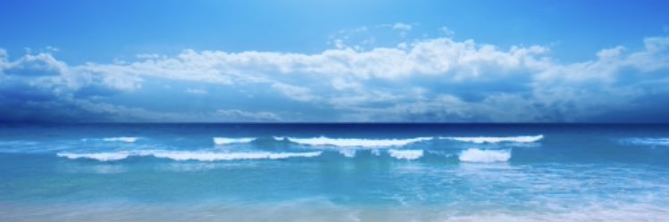 mel_beee's profile banner image