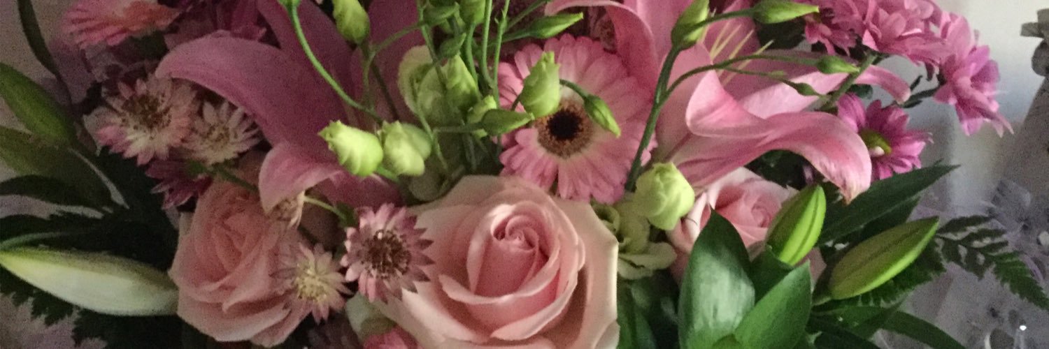 LinzSwann's profile banner image