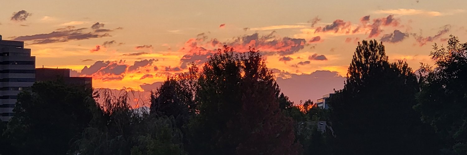 Annette Fowler (she/her) banner