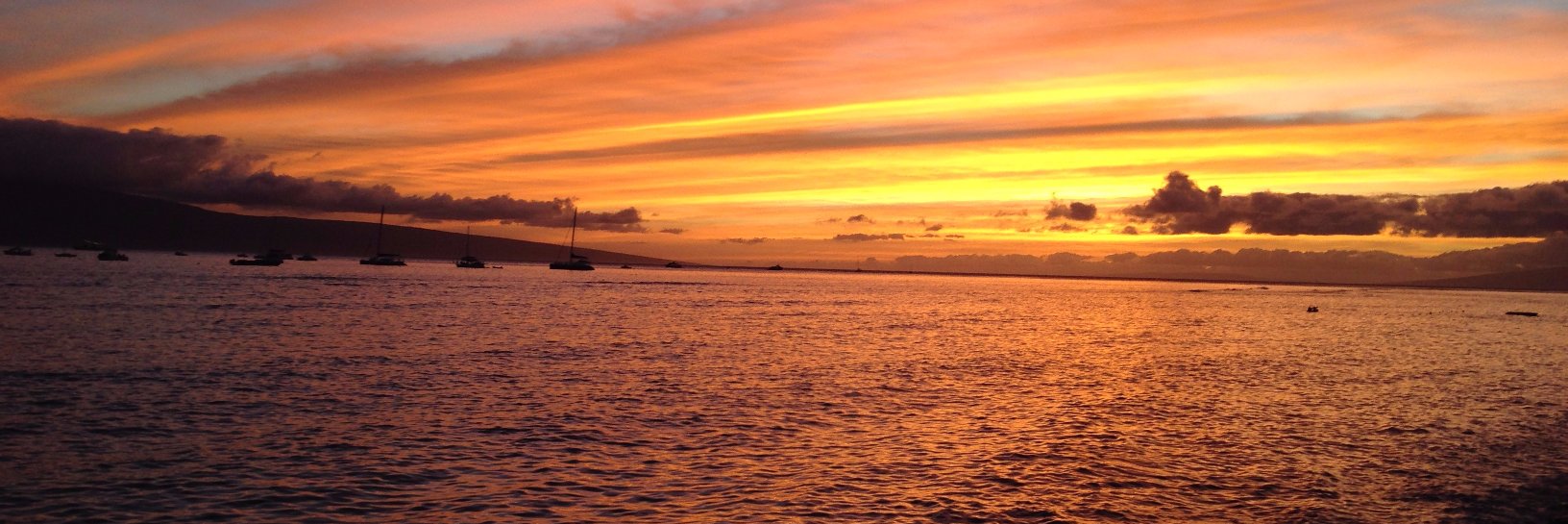 MEdgecomb's profile banner image