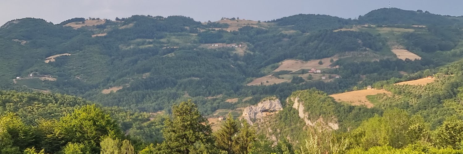 dzlatic's profile banner image