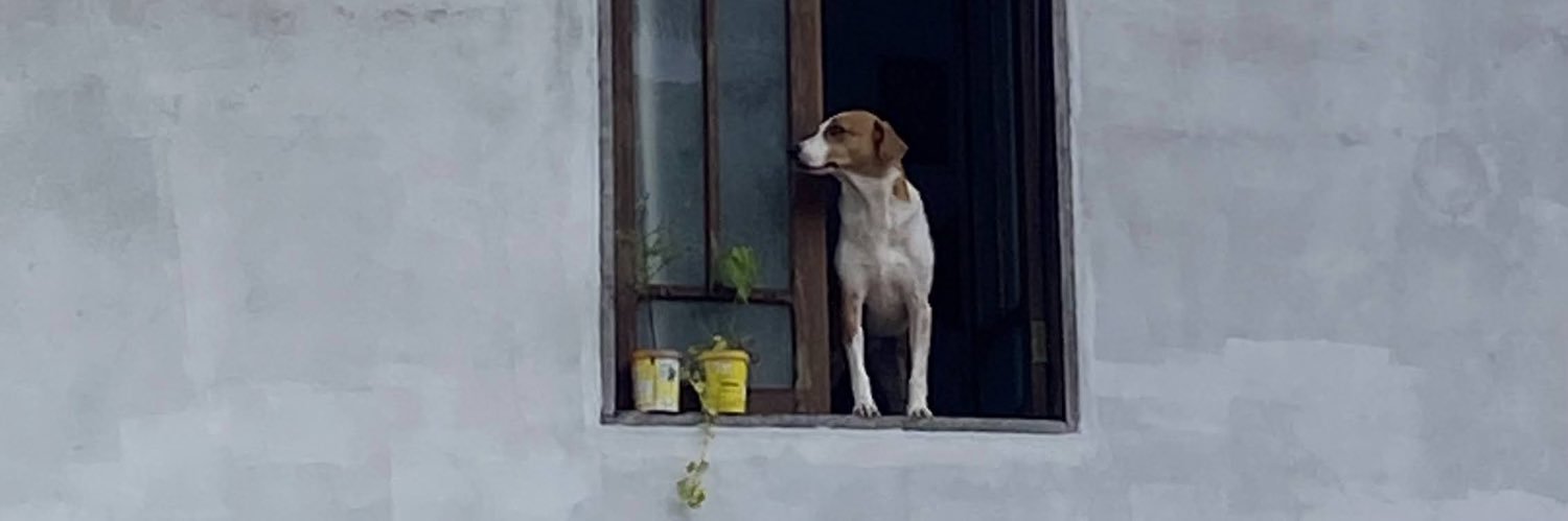 Celiine_'s profile banner image