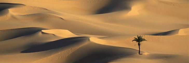 tesbaq's profile banner image