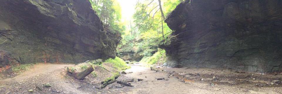 Carlos VTejas banner