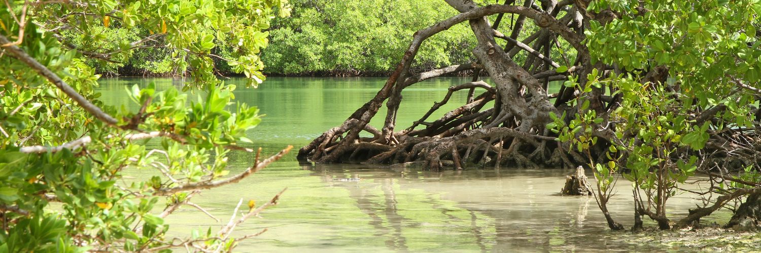 Samuel Michaud banner