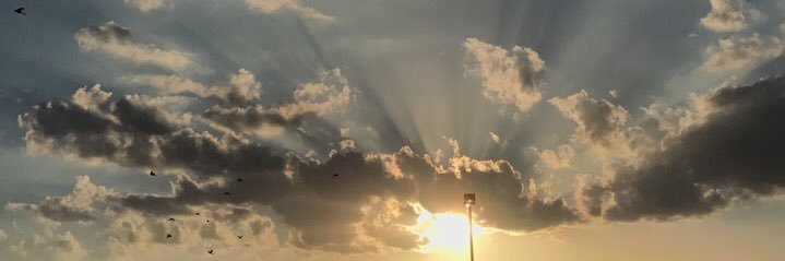 BeardenMacy's profile banner image