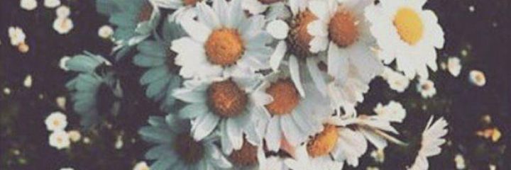 eylembusraa's profile banner image