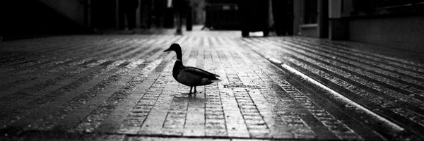 _wa1kz_ Profile Banner