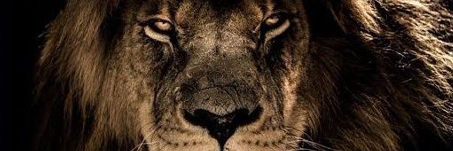 walterror97's profile banner image