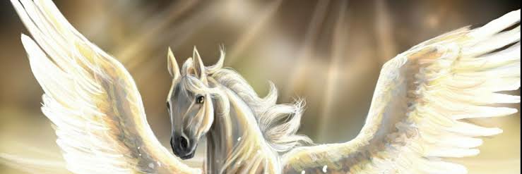 chaichenadam's profile banner image