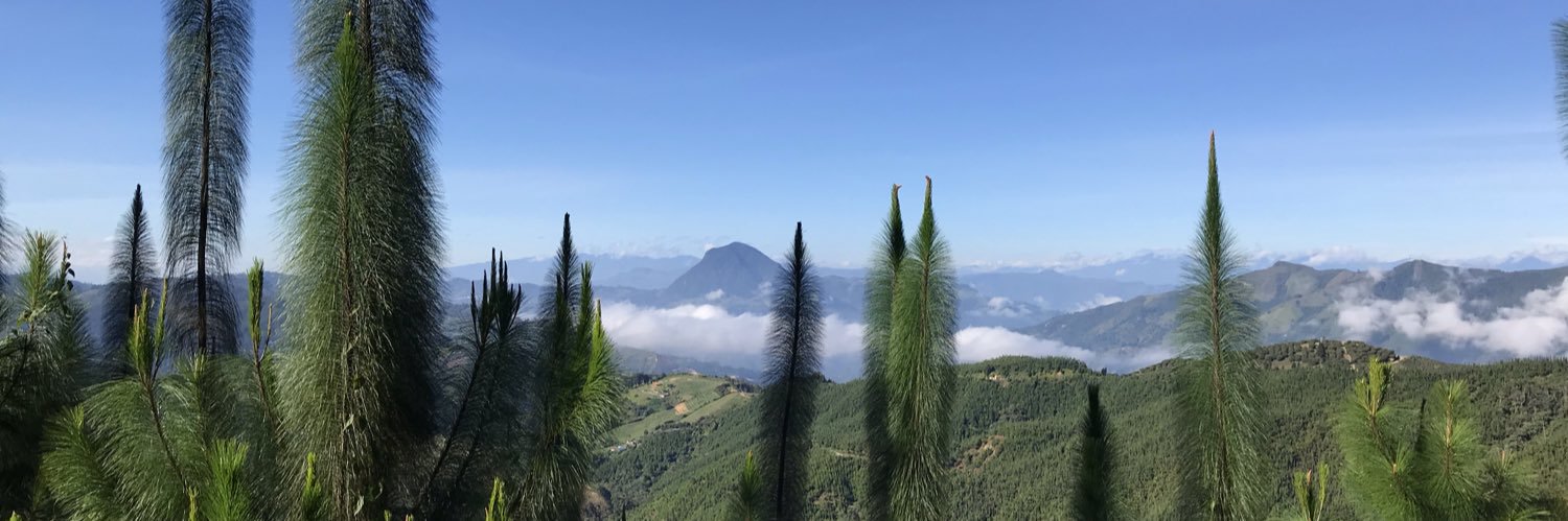 drdcstr's profile banner image