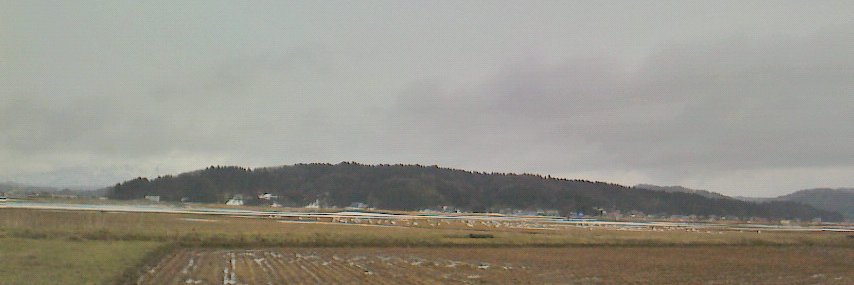asaritibitora's profile banner image