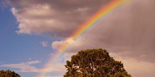 Martajmachado's profile banner image