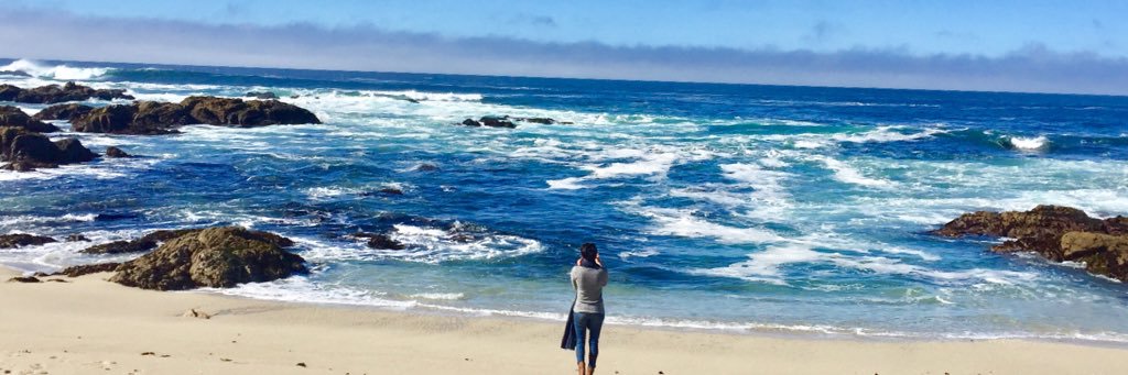 julizaan's profile banner image