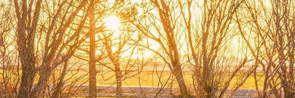 DiJantz's profile banner image