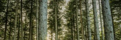 arcussvensson's profile banner image