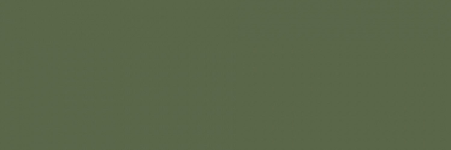 CT13088's profile banner image