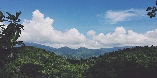paaaayton's profile banner image