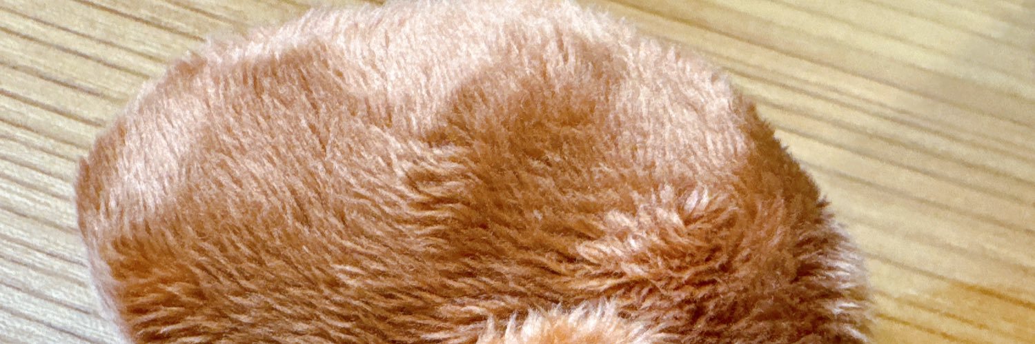 rrpom005's profile banner image