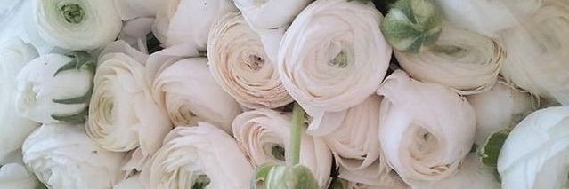 hitsuji128's profile banner image