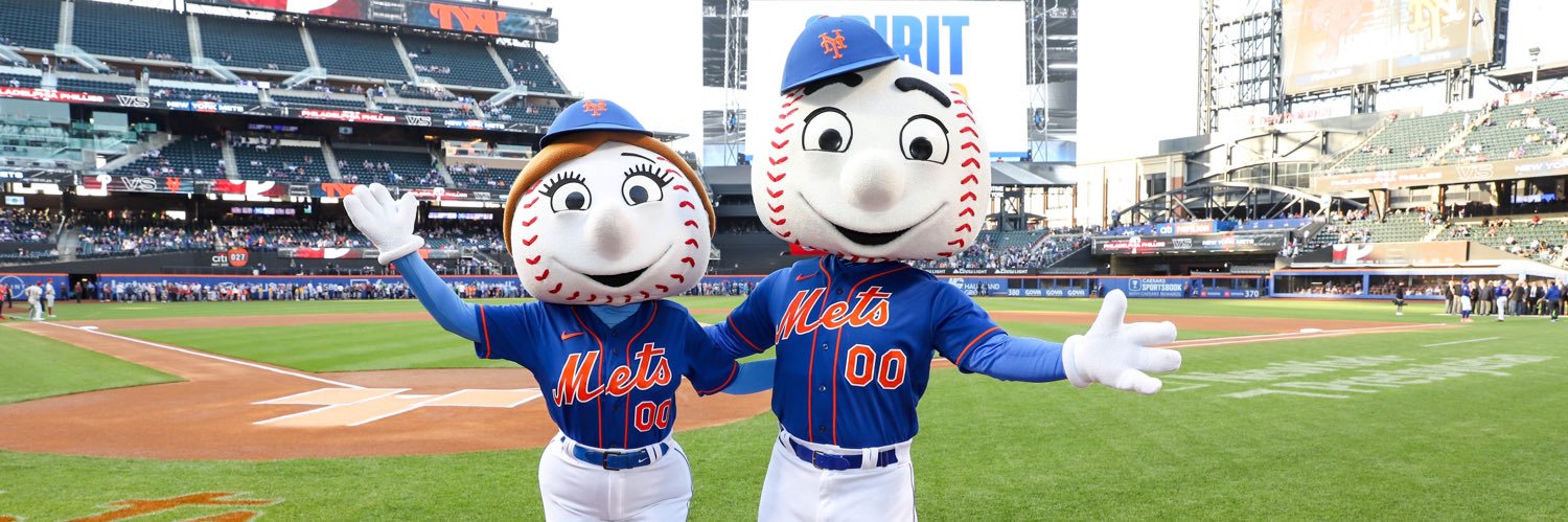 Mr. Met's banner